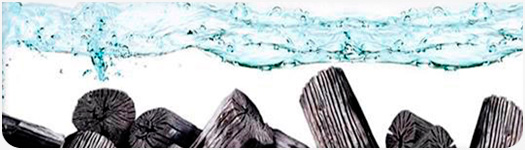The inhibition of oxidation