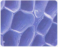 manufacturing process